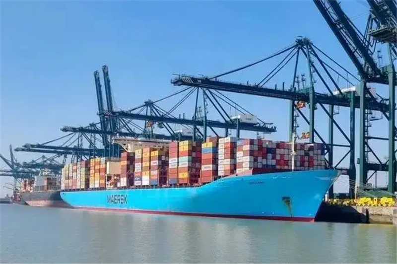 1658315760502955.png 海關(guān)248號(hào)令可以代辦的公司.png