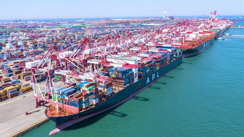 1661340508693177.jpg 山東報(bào)關(guān)公司排名.jpg