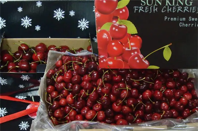 1664526588670863.png 北京水果進口報關(guān)公司.png