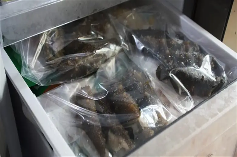 1665399290692941.png 印尼海參進(jìn)口報關(guān)代理.png