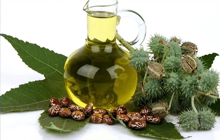 1673265035515204.jpg 進(jìn)口印度蓖麻油清關(guān).jpg