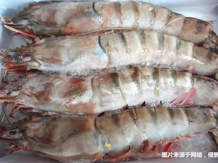 1674901367807640.jpg 冷凍去頭明對(duì)蝦進(jìn)口報(bào)關(guān)_副本.jpg