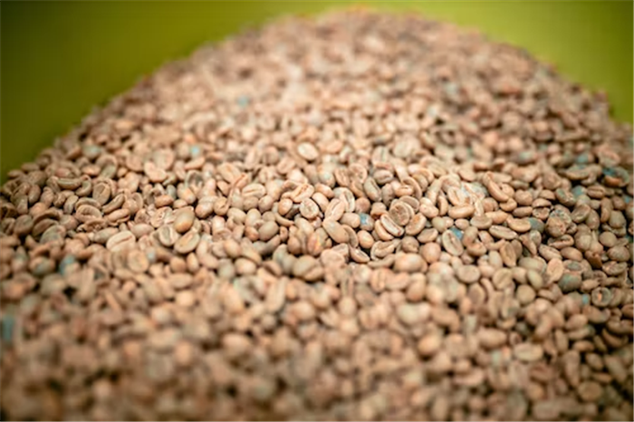 1675412015108923.png 咖啡生豆進口關(guān)稅.png