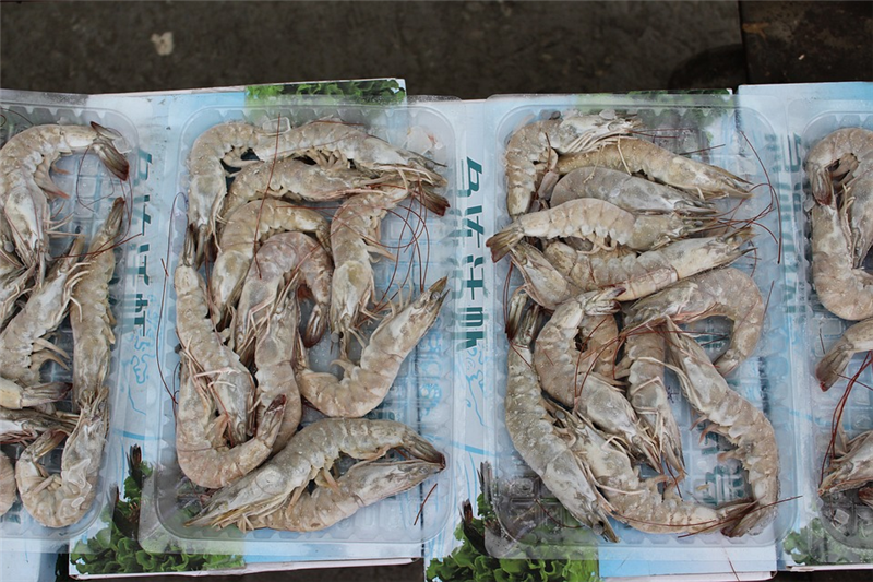 1676449473789534.png 冷凍蝦進(jìn)口報關(guān)代理公司.png