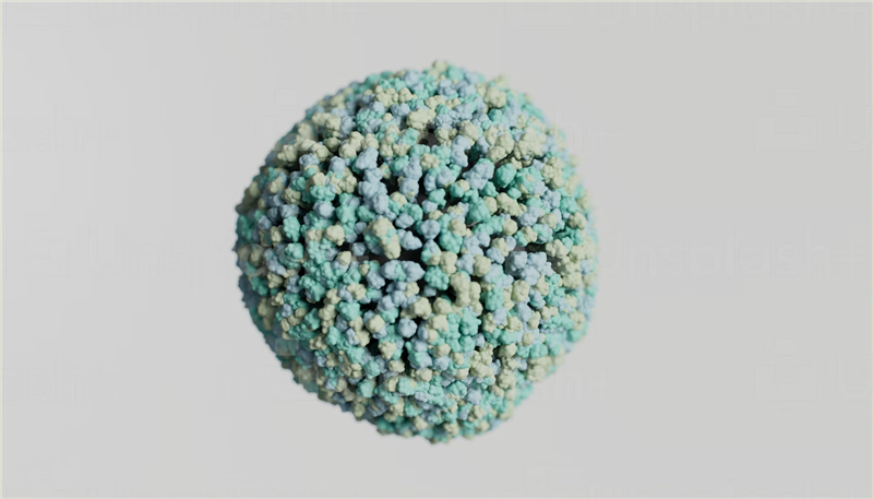 1677151602516365.png 美國細(xì)胞進口報關(guān).png