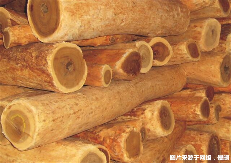 1677750256364916.jpg 進口印度檀香木報關(guān)_副本.jpg