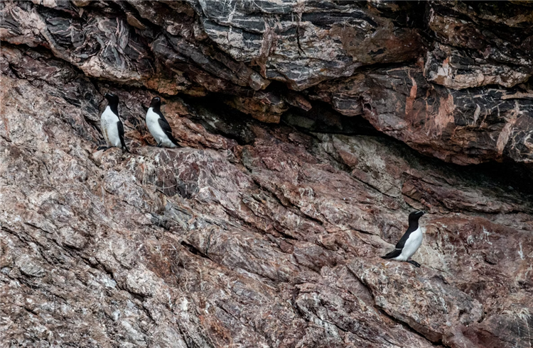 1681210468228244.png 銻礦石進(jìn)口報關(guān)公司.png