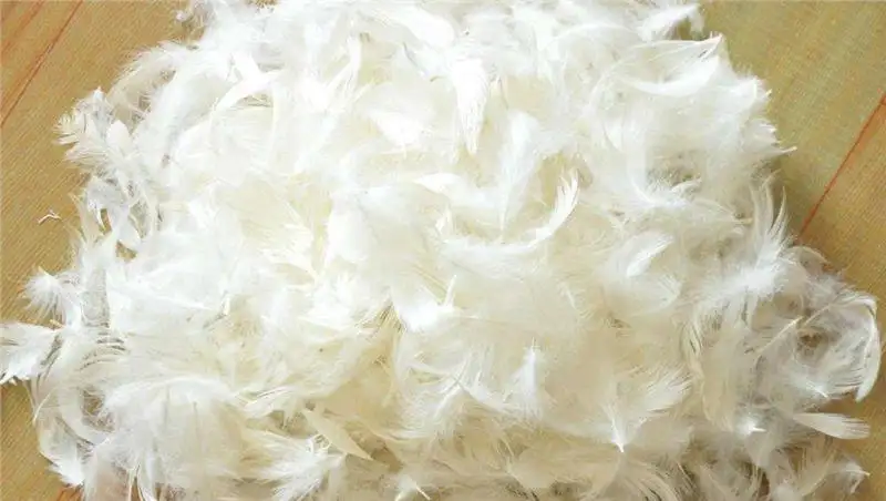 越南鴨毛進口報關(guān)資料 越南鴨毛進口報關(guān)資料