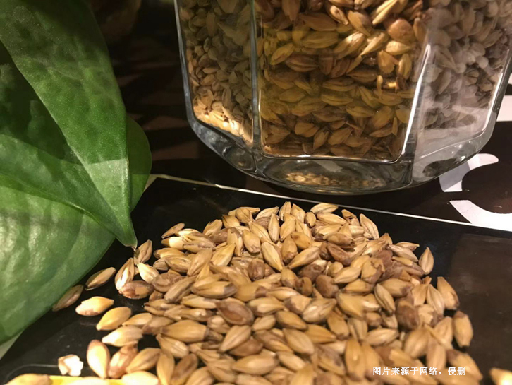 澳大利亞麥芽進口報關(guān)流程 澳大利亞麥芽進口報關(guān)流程