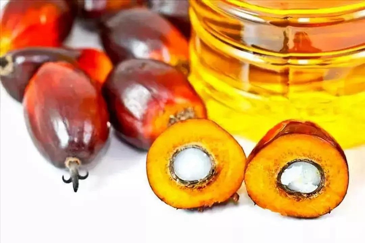 進(jìn)口印尼棕櫚油報(bào)關(guān)代理 進(jìn)口印尼棕櫚油報(bào)關(guān)代理