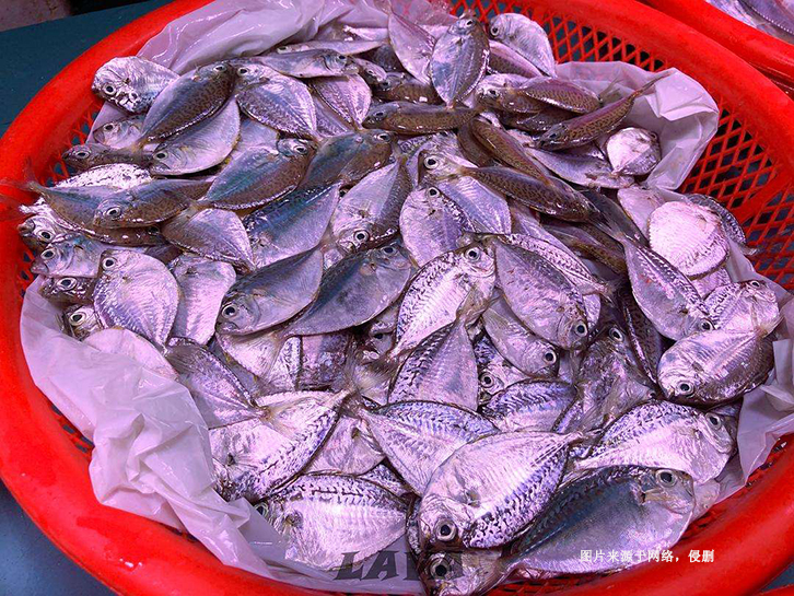 厄瓜多爾冷凍魚(yú)進(jìn)口清關(guān)流程 厄瓜多爾冷凍魚(yú)進(jìn)口清關(guān)流程