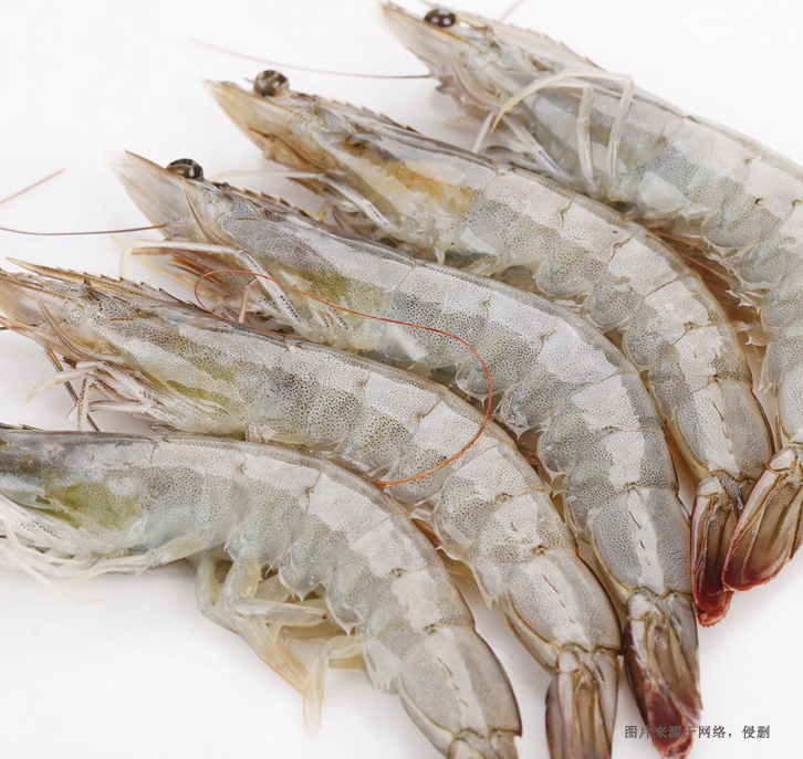 厄瓜多爾南美白蝦進(jìn)口清關(guān)資料 厄瓜多爾南美白蝦進(jìn)口清關(guān)資料