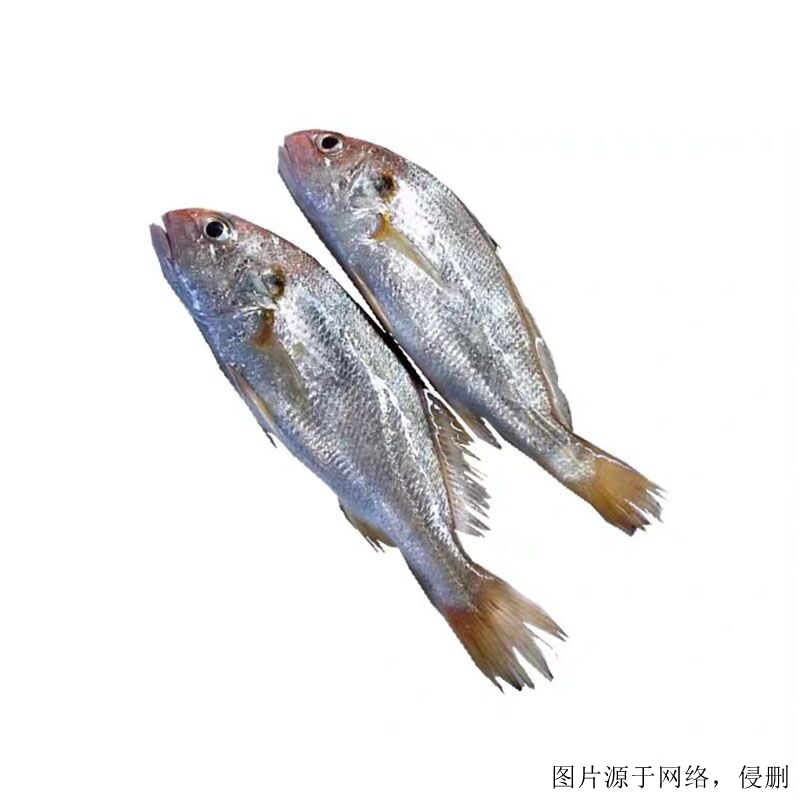 越南白姑魚進(jìn)口清關(guān)流程 越南白姑魚進(jìn)口清關(guān)流程
