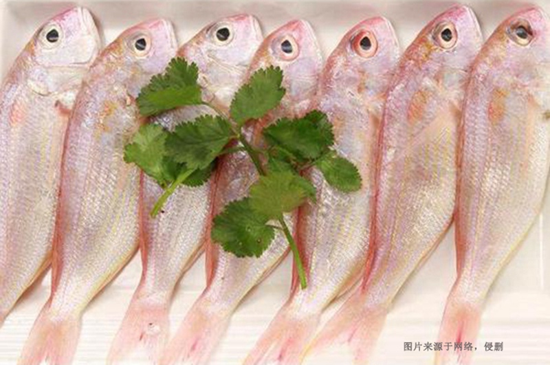 越南冷凍魚(yú)進(jìn)口清關(guān)流程 越南冷凍魚(yú)進(jìn)口清關(guān)流程