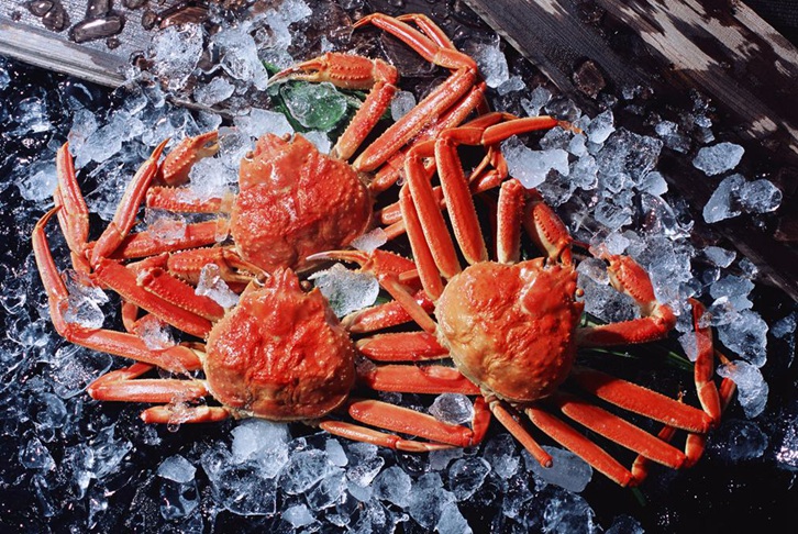 廣州機(jī)場進(jìn)口斯里蘭卡螃蟹報(bào)關(guān)費(fèi)用 廣州機(jī)場進(jìn)口斯里蘭卡螃蟹報(bào)關(guān)費(fèi)用